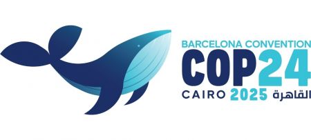 COP24 to Shape the Future of the Mediterranean Environment