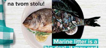 Marine litter is a big deal, it may end up in your meal!