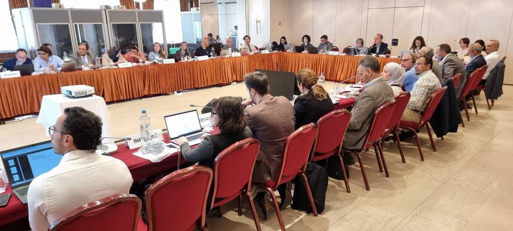 Progress Reviewed at EcAp Med PLUS Steering Committee