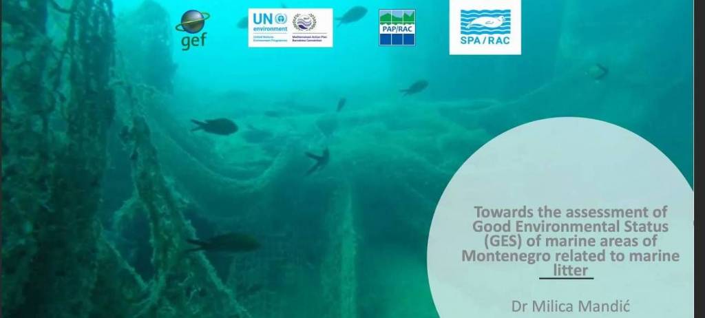 GEF ADRIATIC: virtual training on assessment of good environmental status regarding marine litter in Montenegro