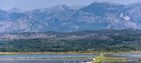 Montenegro designated Ulcinj Salina as a Ramsar site