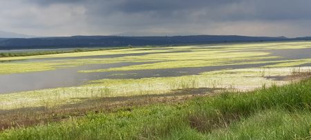 There is hope for Mediterranean wetlands