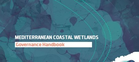 “The Governance of Coastal Wetlands in the Mediterranean: A Handbook” published