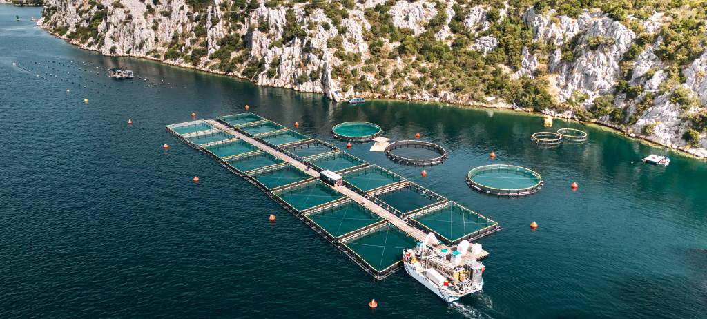 PAP/RAC and RAED host COP24 side event to advance a regional vision for integrated coastal and marine management