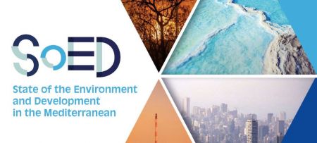 Presentation of SoED 2020 report
