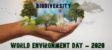 GEF Adriatic project partners celebrate the world environment's day