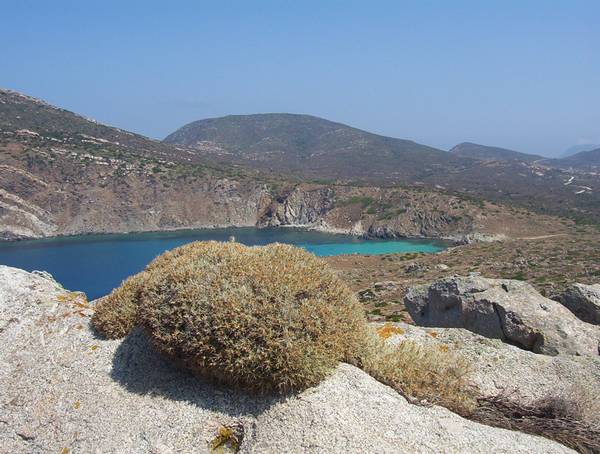 Mediterranean workshop on ICZM policy