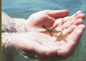 Celebrating Coast Day in the Mediterranean