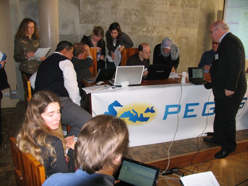 Pegaso project officially underway