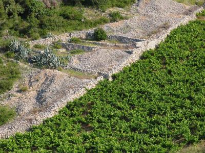 Governmental experts discussed the Ecosystem Approach in Albania