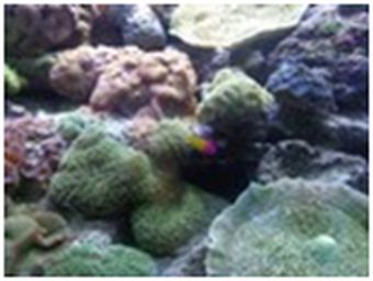 MedPartnership Co-ordination Group met in Barcelona