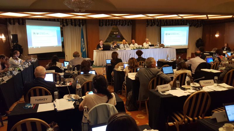MAP Focal Points meet in Greece