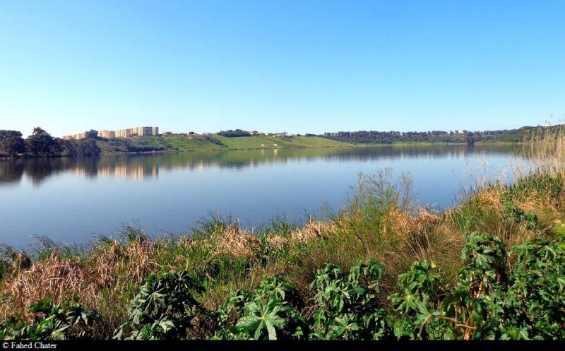 Area of Reghaia’s coastal plan classified as protected area