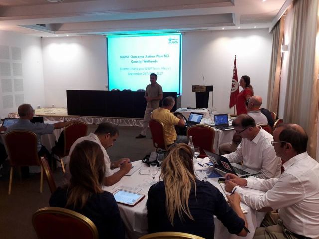 MAVA for the Mediterranean coastal wetlands