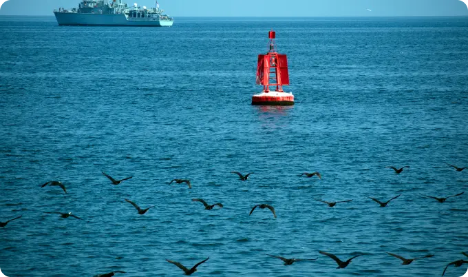 A flock ob birds at the sea with ship in the background